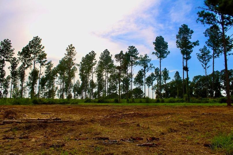 F66EEFE7-8591-4BB6-8850-F645985815E9_1_105_c