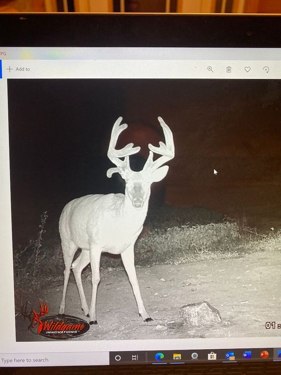 61888893518__FFD274AC-71CE-43B2-88D8-9AB6FED25C53