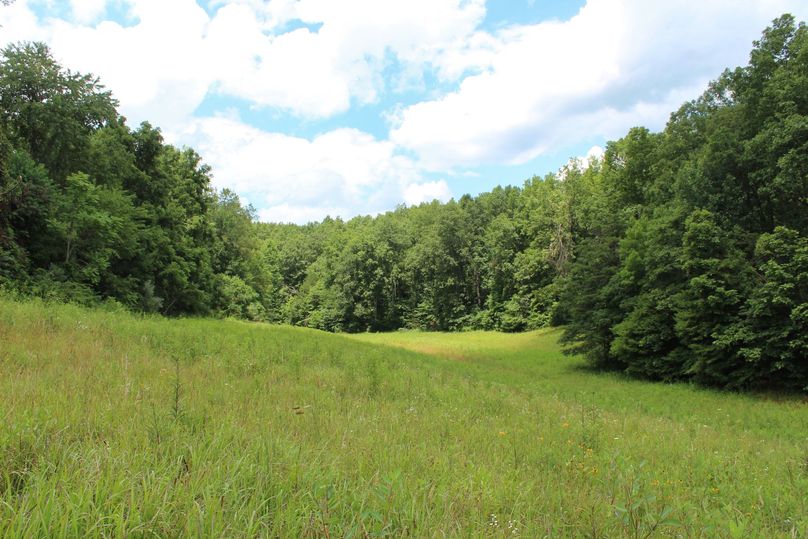 059 beautiful open field area leading up the valley near the barn