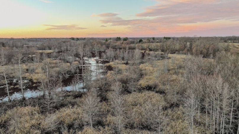 St. Francis 138.5 Calvin Parker Farms Profile -08