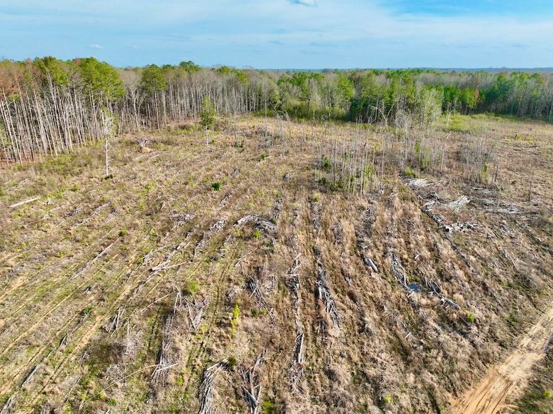 B4FD69A1-AA79-4AB0-B99D-F9D233CDF819_1_201_a