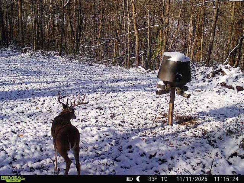 deer pic 14-2