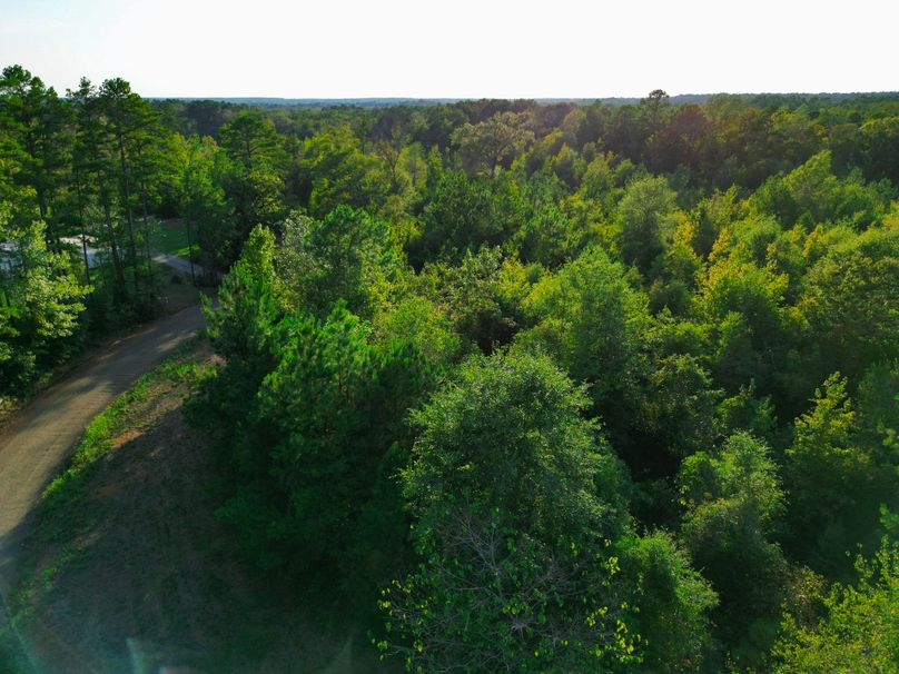 43.5 Acres San Augustine 003