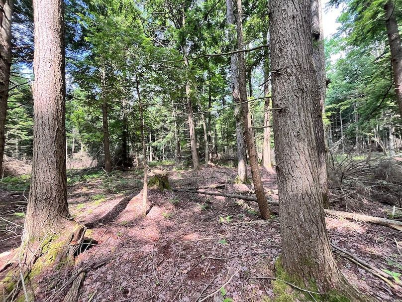 Oswego_133.72_Middleton_Photos_41