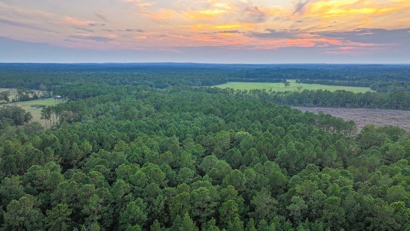 DJI_20250918190238_0305_D