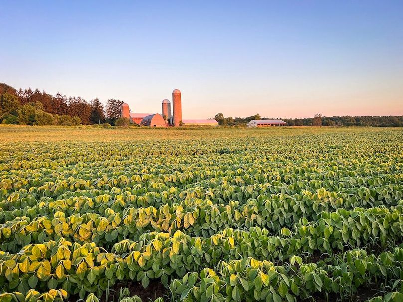 Copy of Wood Tract 2 Photo 5