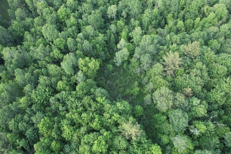 Jefferson_260.3_ Lobach_Photos_21