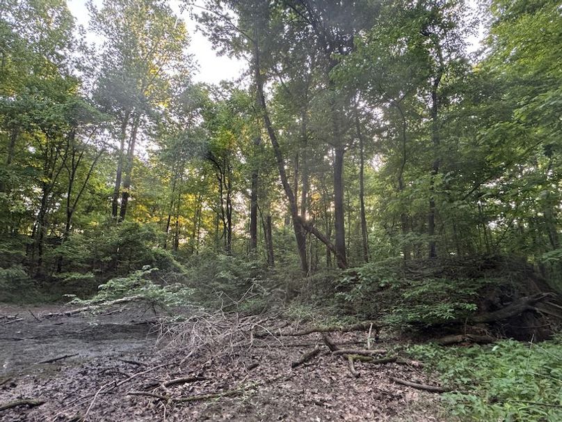 Desoto 8.3 Clement (Final Frontier) -22