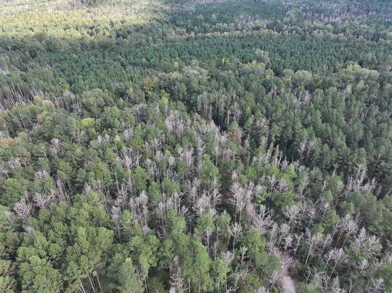 dji_fly_20251001_160424_0652_1759492678776_photo