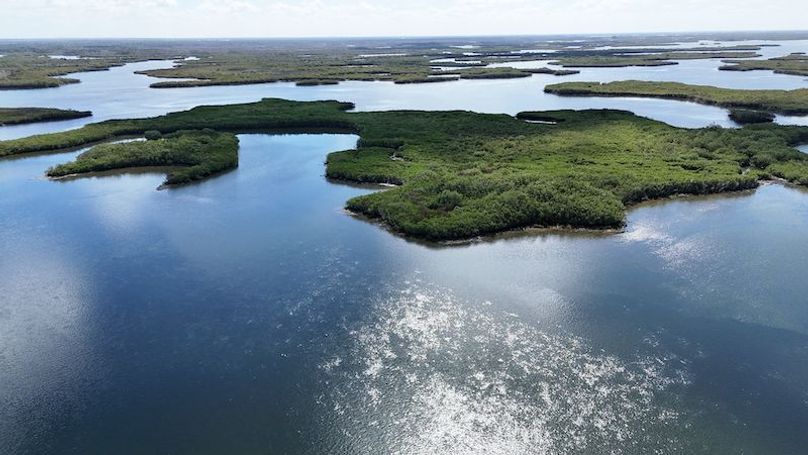 17.17ac, Citrus, Josiah Ronco20