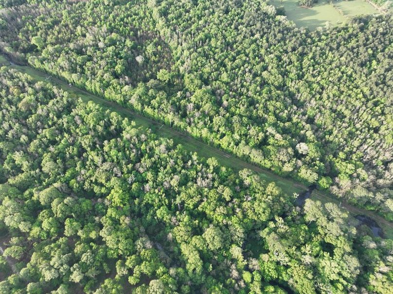 dji_fly_20260407_083216_347_1775580363631_photo