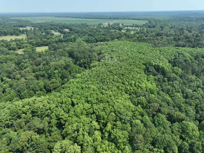 dji_fly_20230530_111544_141_1685483350838_photo