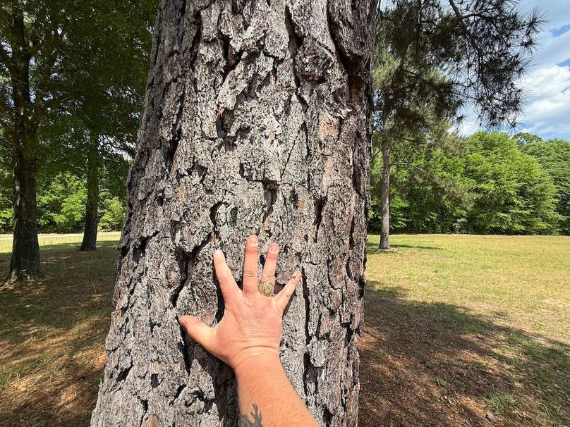 52