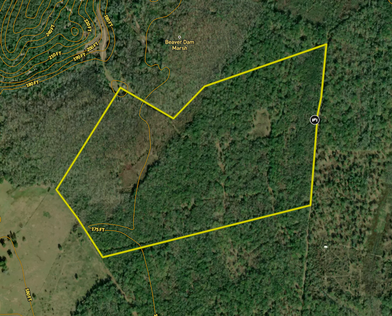 Screenshot 2025-09-09 at 10.18.40 AM