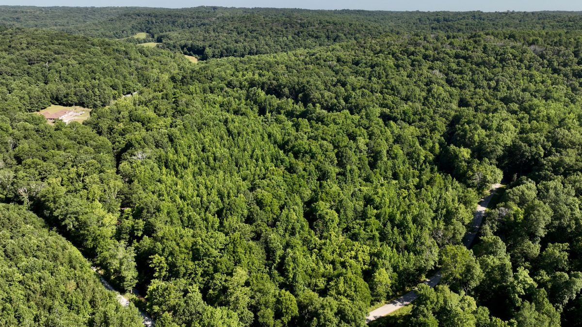Shawnee National Forest Area Timber Hunting Tract Whitetail Properties