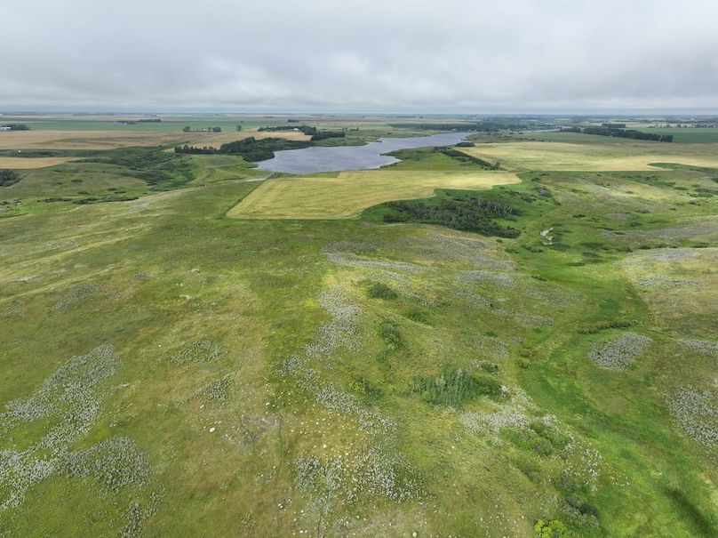 Copy of DJI_20250704141301_0628_D