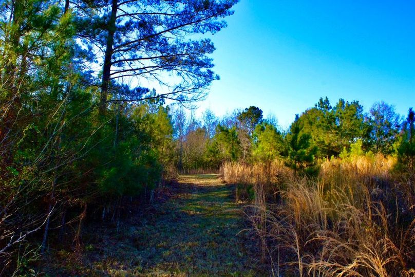 131D48B1-D138-425E-8CF5-FFAC9F62E573_1_201_a-2