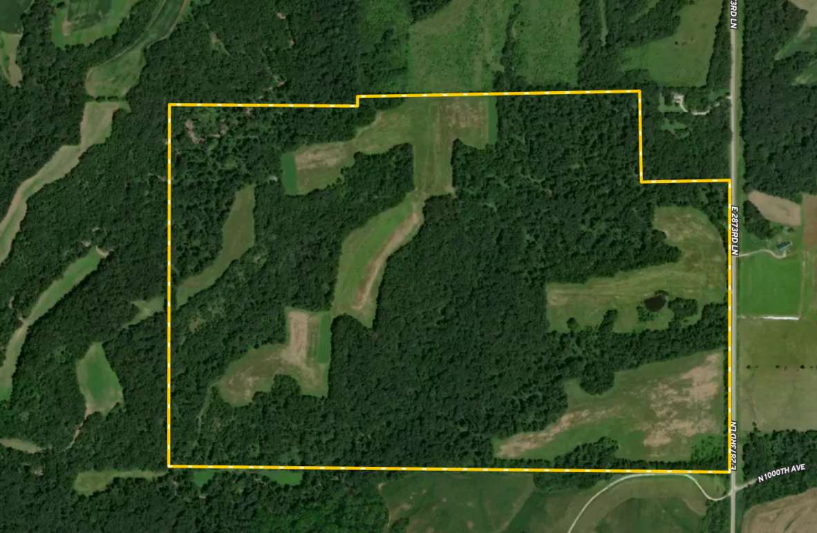 Screen Shot 2023-10-09 at 1.23.53 PM