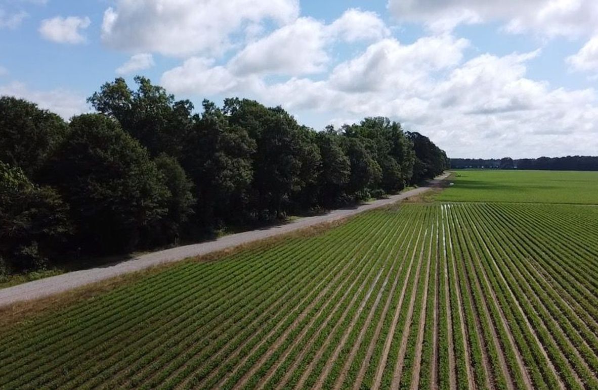 2024-06-01-10-28-21-958