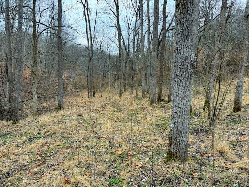 Ritchie, WV 64 AC Hall New Pics-29