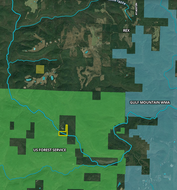 Screenshot 2025-09-14 at 10.11.37 AM