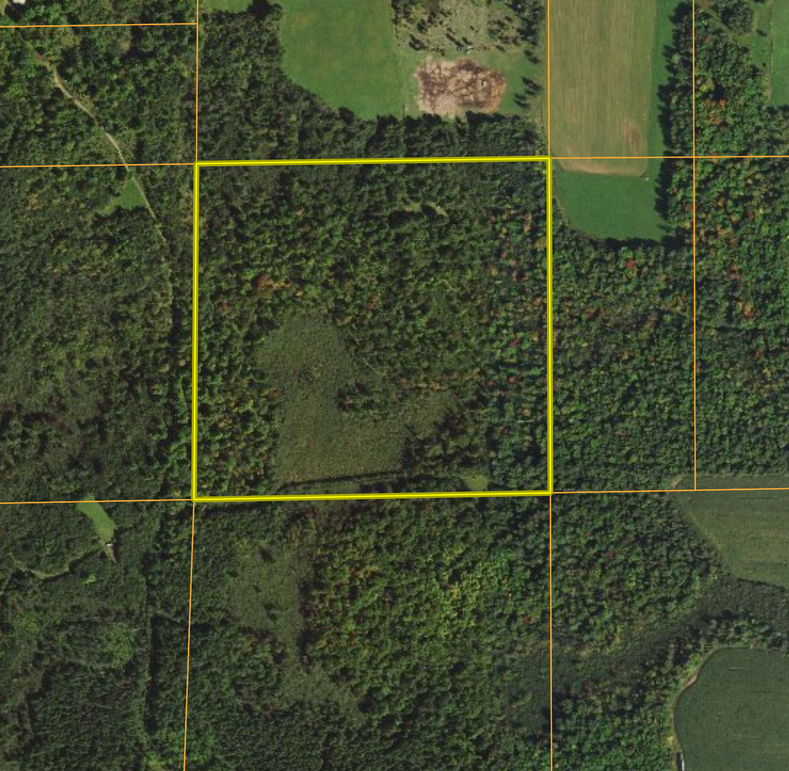 Screen Shot 2023-06-15 at 10.50.40 AM