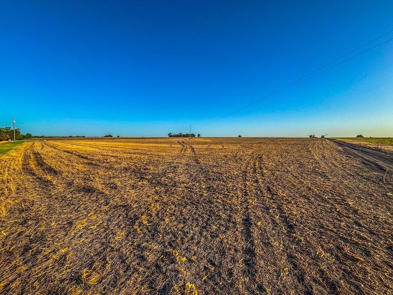 Bell 46.44 Pictures-28