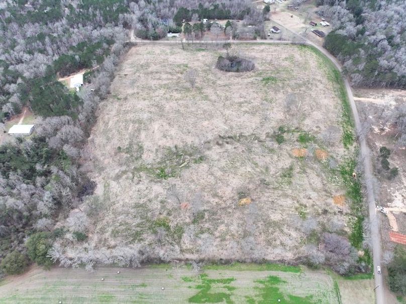 Copy of dji_fly_20260217_143138_0141_1771436908559_photo