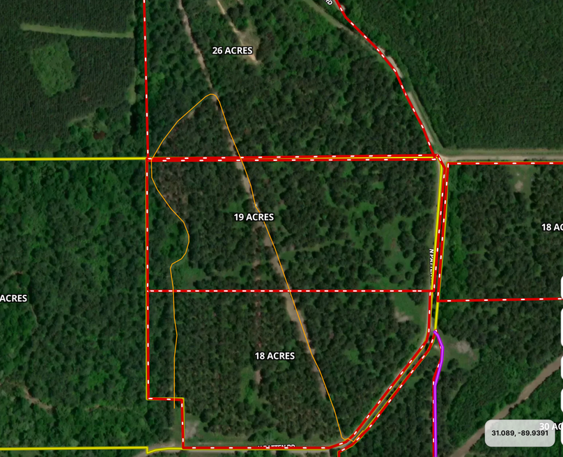 Screen Shot 2023-08-01 at 11.05.24 PM