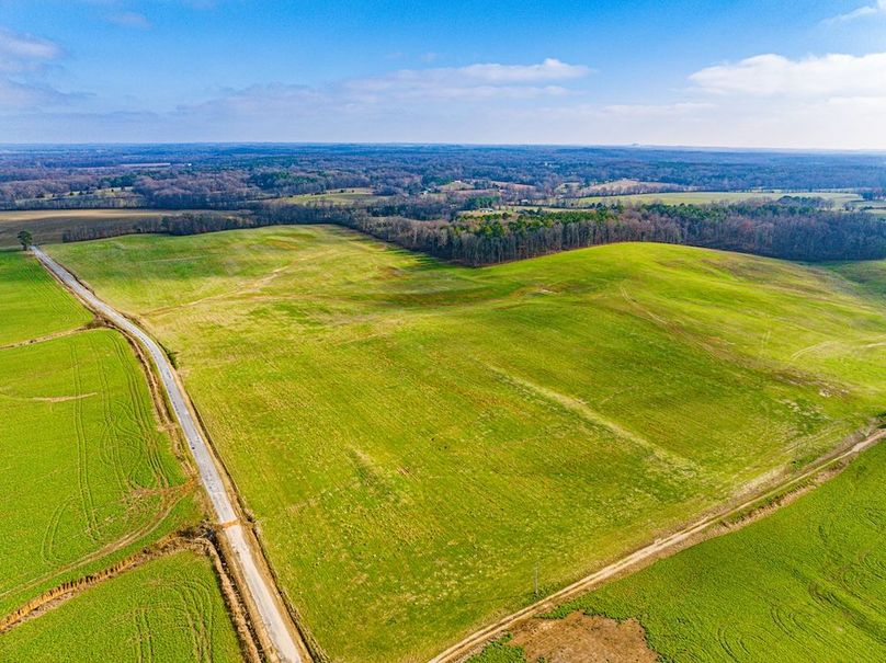 Henry 137 Miller-01-2