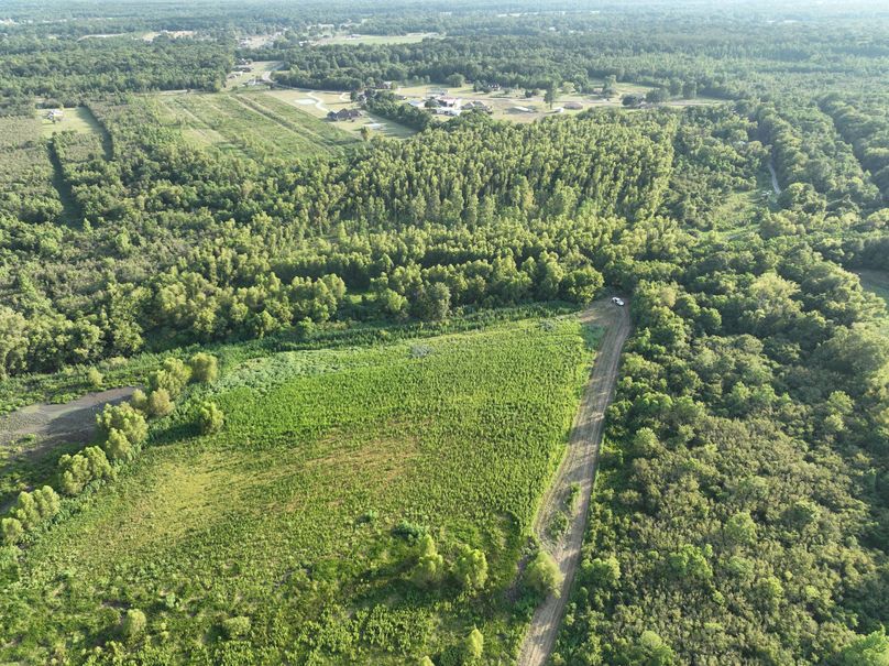 dji_fly_20230801_184036_256_1690975118186_photo