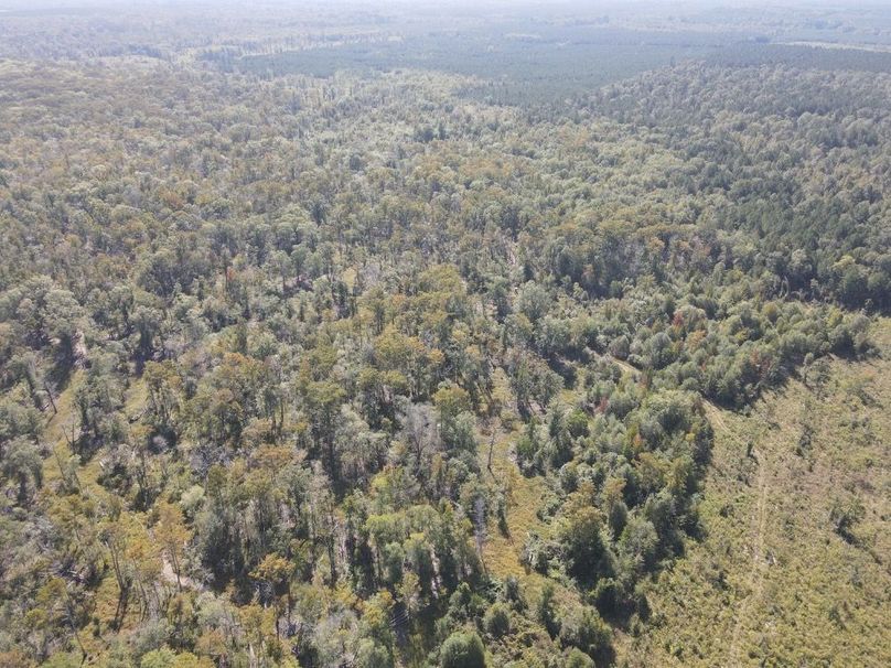 dji_fly_20241002_105328_318_1727884422114_photo 2