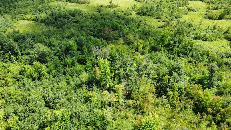 dji_fly_20240708_150242_261_1720541070631_photo_optimized