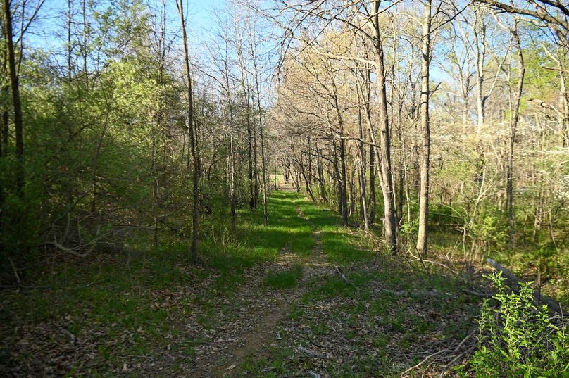 vandalia 450 (2)-2458