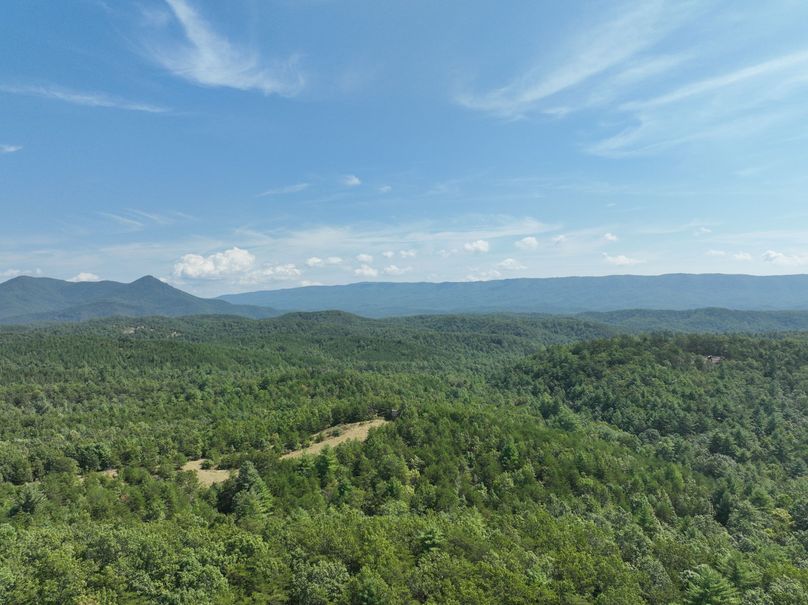 15_13.39_Alleghany_VA