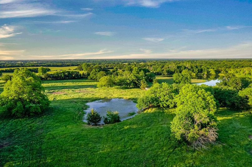 Fannin County- 134.4 acres-8