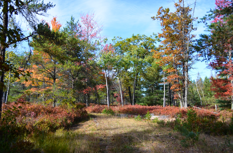 Screenshot 2025-11-14 at 11.24.23 AM