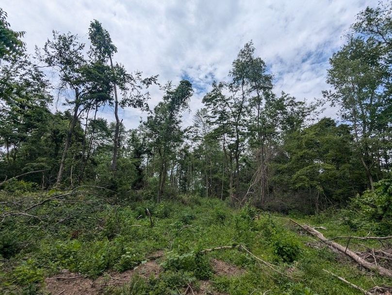 PXL_20240625_182153750