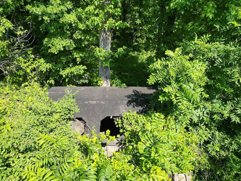 DJI_0394