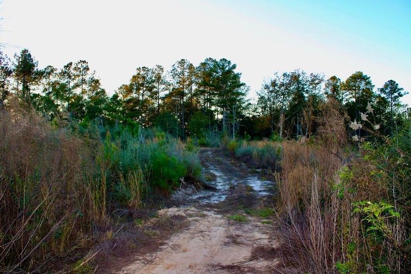 7AB34906-8D40-474B-9554-A9F97604D79D_1_105_c