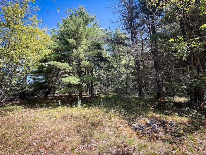 Jefferson NY 195.6 Parker Photos 27