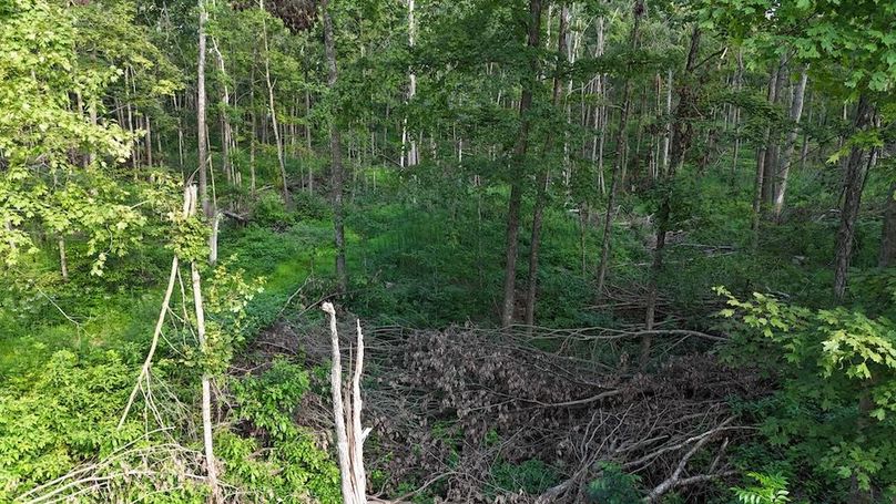 DJI_20250808180157_0772_D