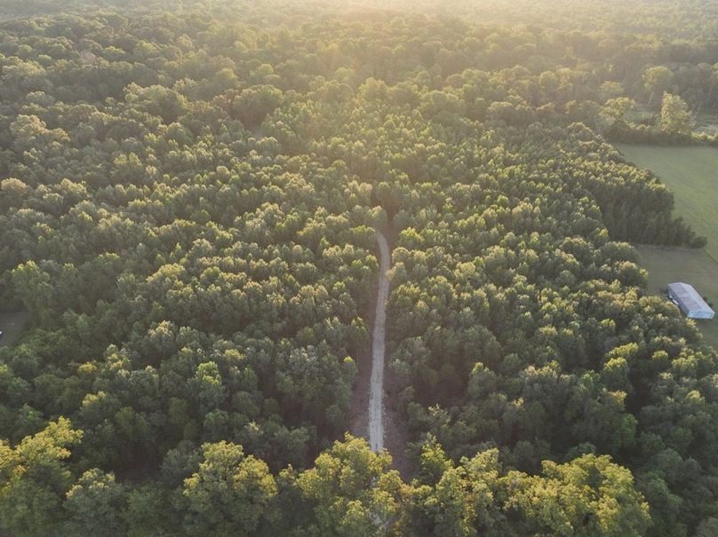 dji_fly_20250909_072348_179_1757426945339_photo