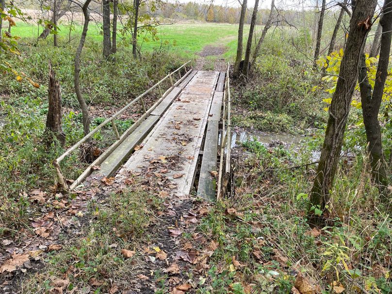 pics from late 2021 and early 2022. New plots being planted in Aug 2023 for new pics (25)