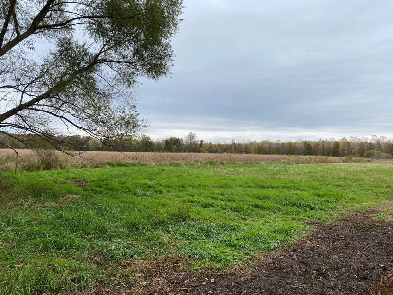 pics from late 2021 and early 2022. New plots being planted in Aug 2023 for new pics (28)