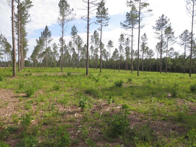 0943BAB1-63D1-4DB7-8754-86363432B84B_1_105_c