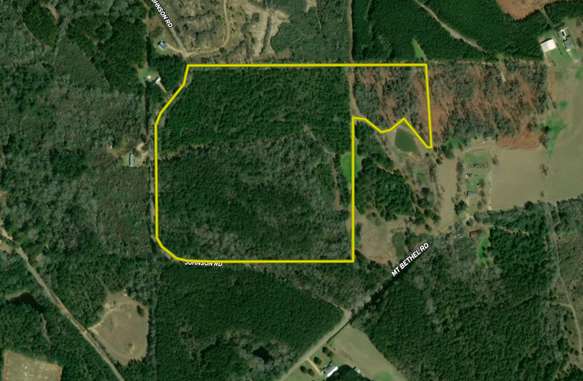 Screen Shot 2023-06-19 at 12.34.40 PM