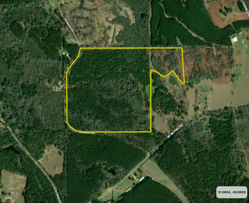 Screen Shot 2023-06-19 at 12.34.40 PM