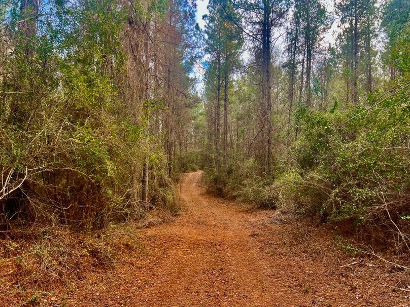 13FACAE0-C7E8-48D6-9ADD-8B718852D8EF_1_201_a