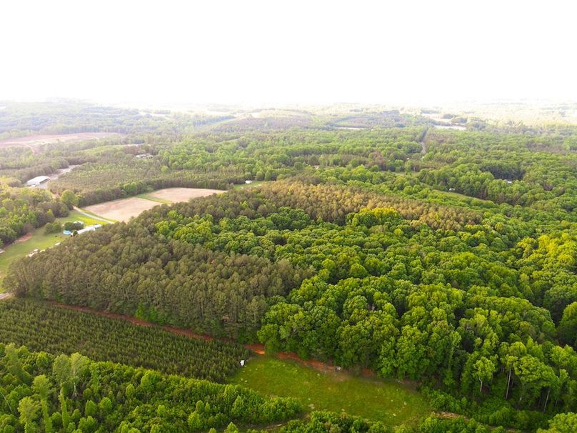 DJI_0544